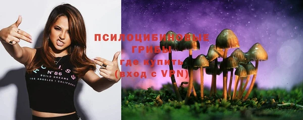 МДМА Арсеньев
