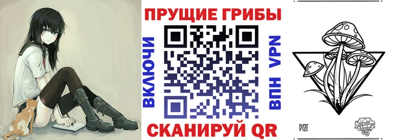 Псилоцибиновые грибы GOLDEN TEACHER  Шадринск 