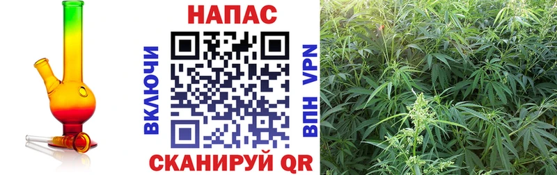 Канабис White Widow  закладки  Шадринск 